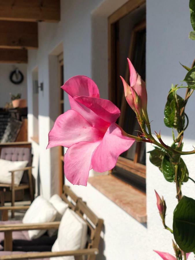 شقة Alpbach 646 المظهر الخارجي الصورة