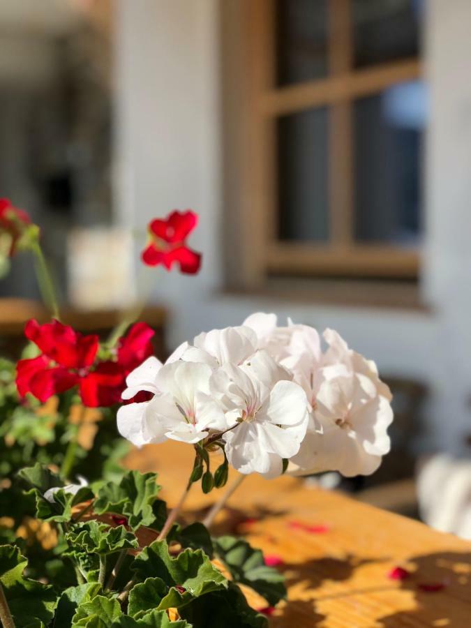 شقة Alpbach 646 المظهر الخارجي الصورة